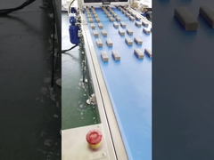 Μπαμπάδων υψηλής ταχύτητας πολυ μηχανή εξωθητών φραγμών ημερομηνίας γραμμών πρωτεϊνική