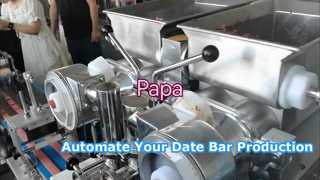 Hot Sale P160 Γεμιστά μπισκότα ράβδου ημερομηνίας Fig Newton Biscuits Making Forming Encrusting Machine